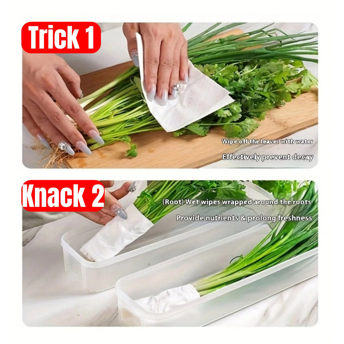Refrigerator Storage Boxes With Lids For Fresh Food