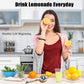 Stainless Steel Lemon Zester Juicer Citrus Squeezer Tool